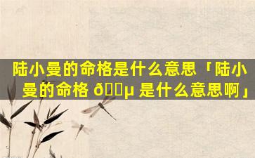陆小曼的命格是什么意思「陆小曼的命格 🌵 是什么意思啊」